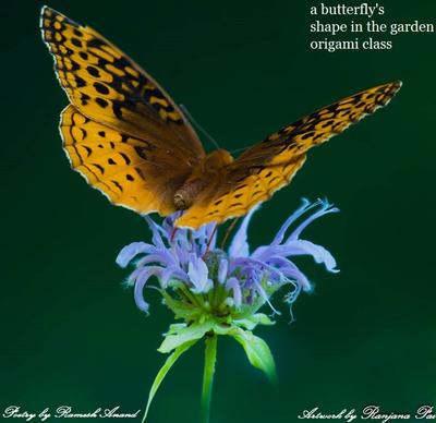 Butterfly Haiga.jpg